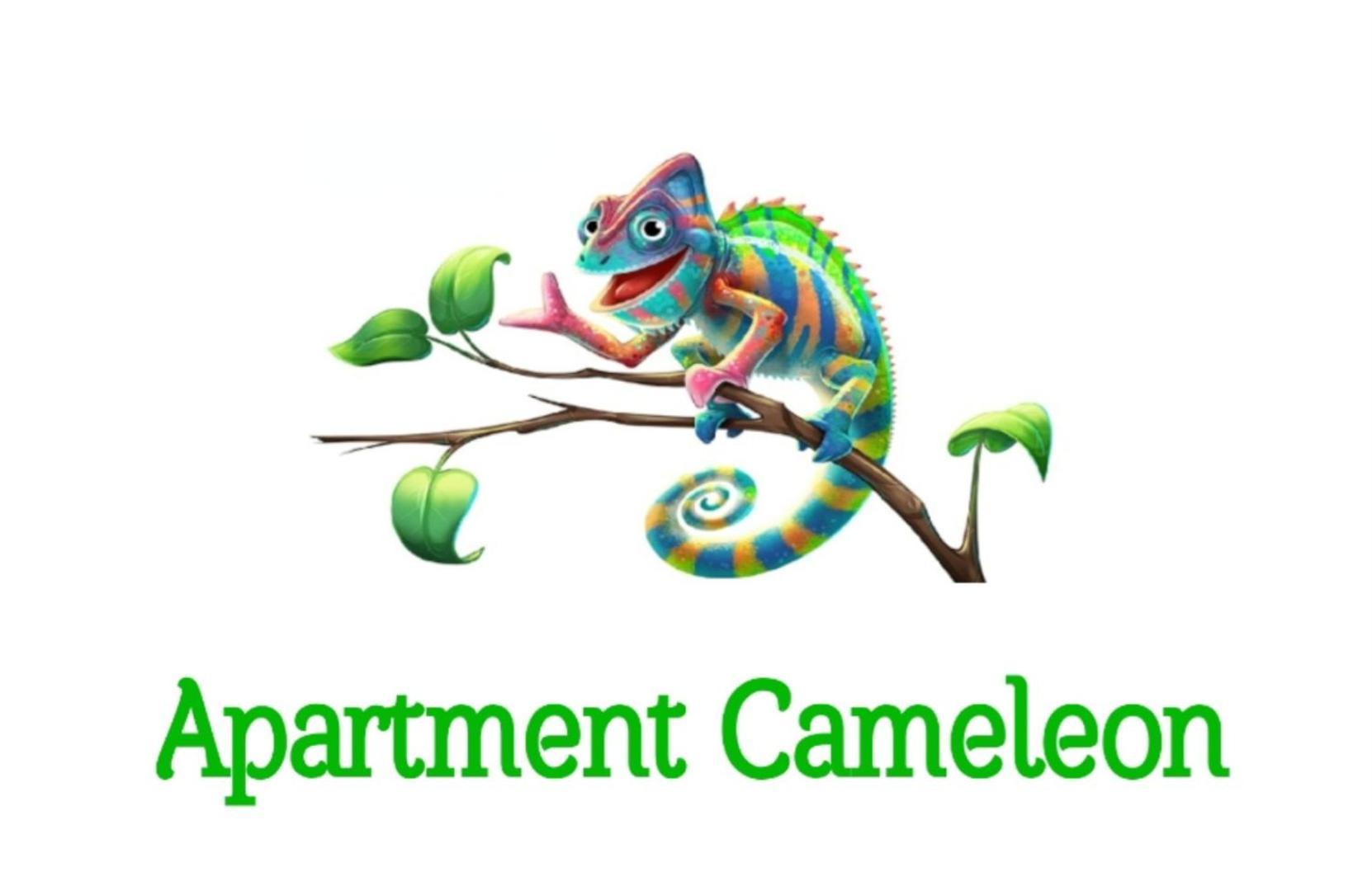 Apartment Cameleon Dubrovnik Luaran gambar